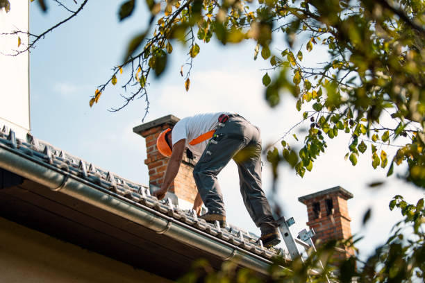 Best Tile Roofing Contractor  in Mount Morris, MI