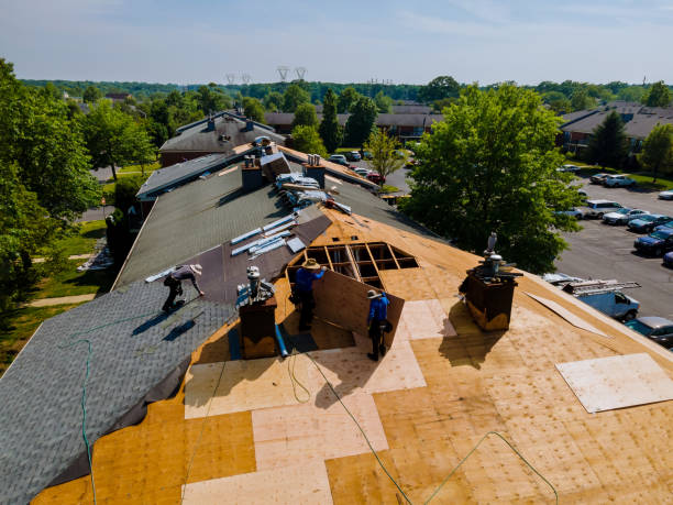 Best Roof Restoration Services  in Mount Morris, MI