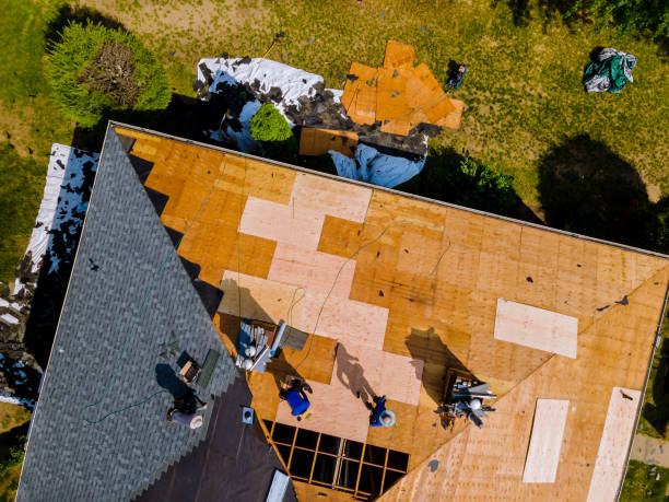 Best Roof Gutter Cleaning  in Mount Morris, MI