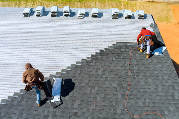 Best Roof Maintenance Services  in Mount Morris, MI