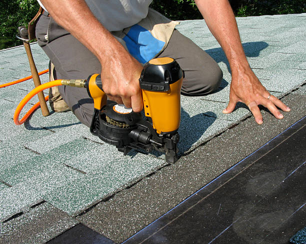 Best Commercial Roofing Services  in Mount Morris, MI