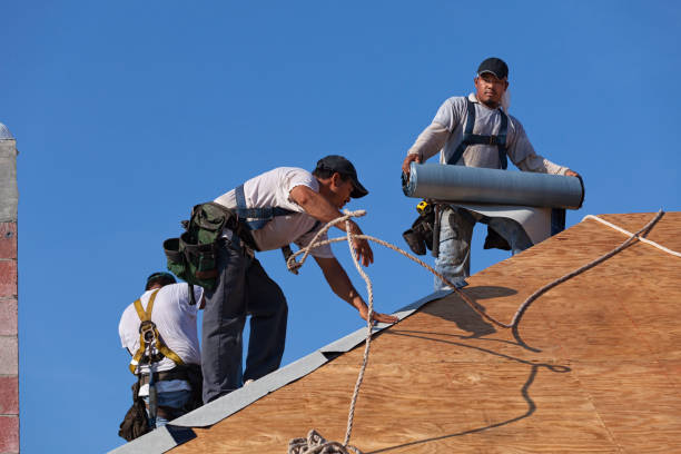 Roof Gutter Cleaning in Mount Morris, MI
