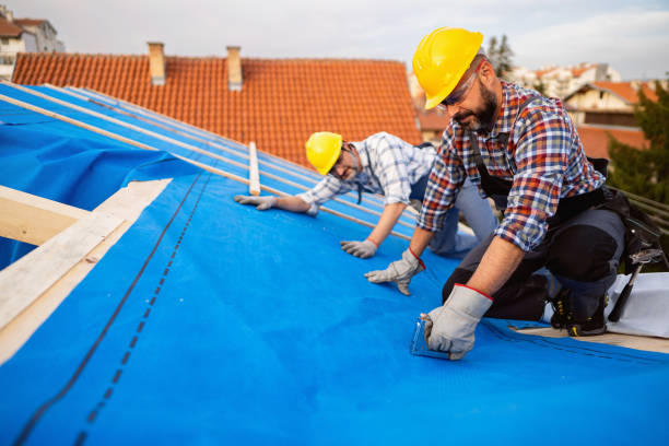 Quick and Trustworthy Emergency Roof Repair Services in Mount Morris, MI