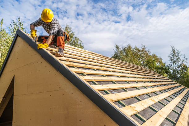 Best New Roof Installation  in Mount Morris, MI