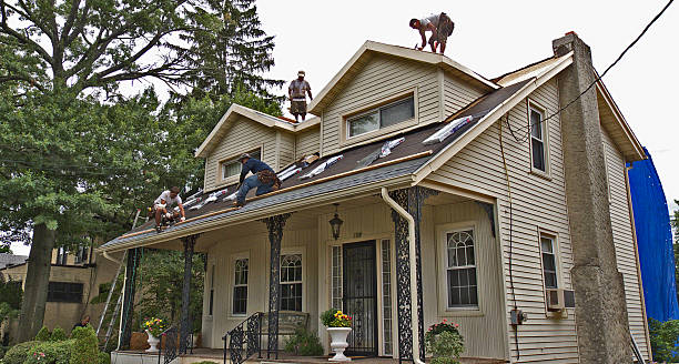 Best Roof Gutter Cleaning  in Mount Morris, MI
