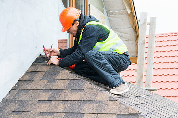 Best Sealant for Roof  in Mount Morris, MI