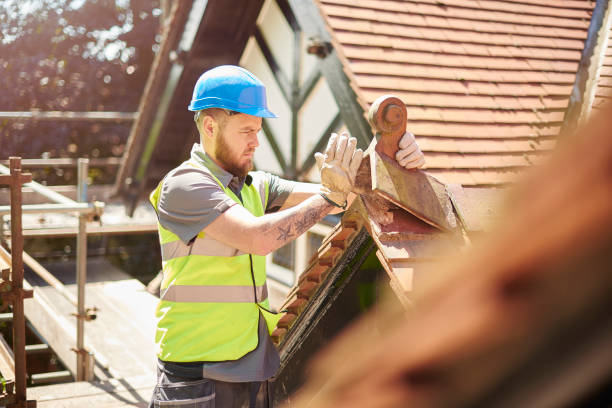 Best New Roof Installation  in Mount Morris, MI