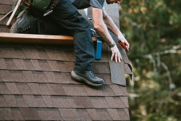 Best Roofing Contractor Near Me  in Mount Morris, MI