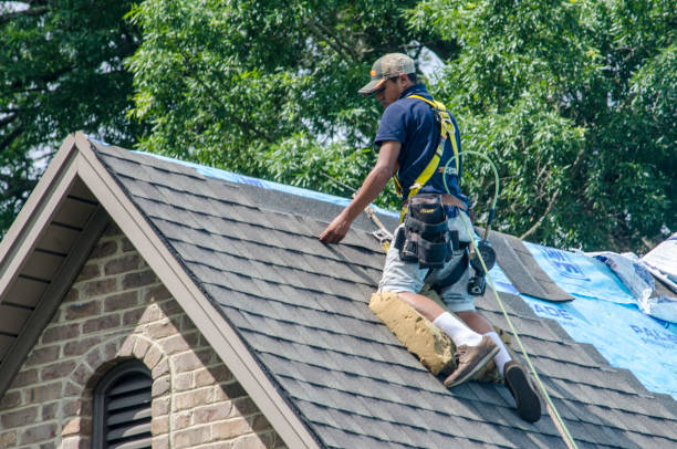 Best Storm Damage Roof Repair  in Mount Morris, MI